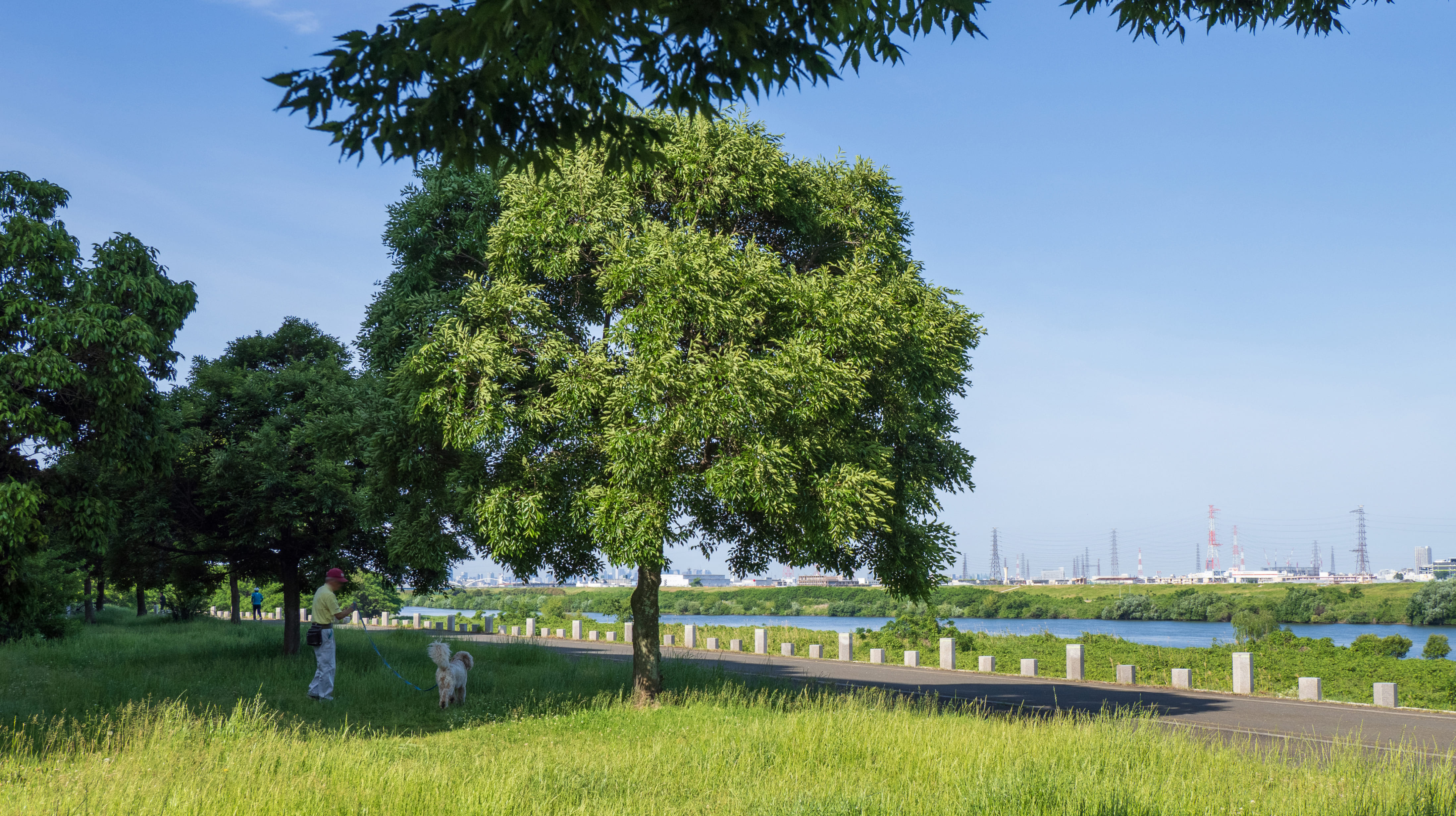 淀川河川公園 出口地区
